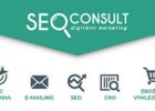 seo consult logo