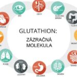 Na svém zdraví rozhodně nešetřete