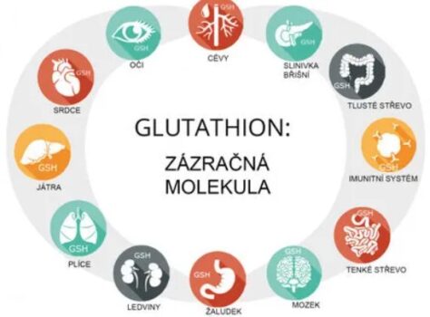 nejlepsi antioxidant
